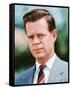 William H. Macy-null-Framed Stretched Canvas