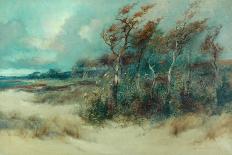 Trees in a Sandy Lane, Heysham, 1916-William H. Parkinson-Framed Stretched Canvas