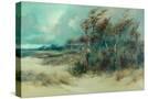 Stretched Canvas