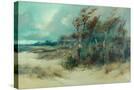 Stretched Canvas