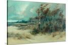Stretched Canvas