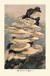 Boletus Edulis-William Hamilton Gibson-Art Print