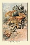 Agaricus Campestris-William Hamilton Gibson-Art Print