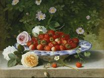 Strawberries in a Blue and White Buckelteller with Roses and Sweet Briar on a Ledge-William Hammer-Stretched Canvas