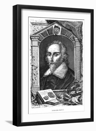 William Harvey (1578-165) English Physician, C17th Century-null-Framed Giclee Print