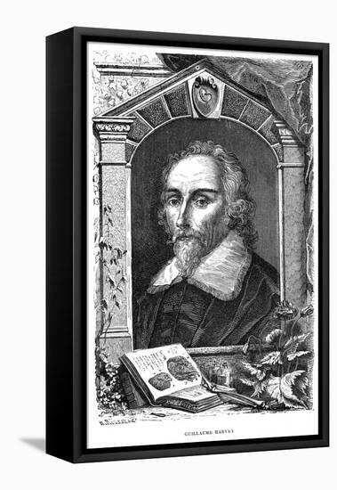 William Harvey (1578-165) English Physician, C17th Century-null-Framed Stretched Canvas