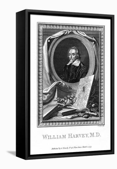 William Harvey, Medical Doctor, 1777-T Cook-Framed Stretched Canvas