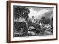Brown Frame