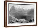 Brown Frame