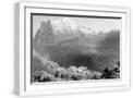 White Frame