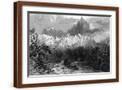 Brown Frame