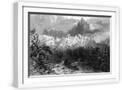 White Frame