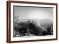 Brown Frame