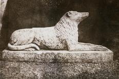 Effigy of Sir Walter Scott's Favourite Dog, Maida-William Henry Fox Talbot-Giclee Print