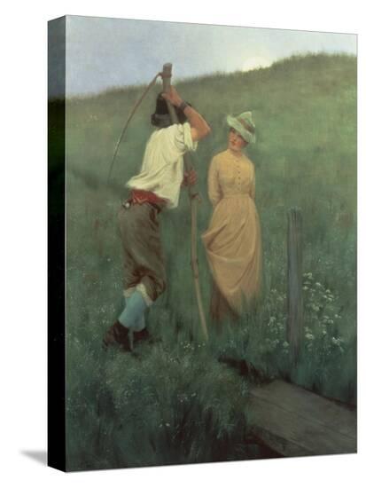 Stretched Canvas Print, , large