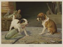 Puppies Sleeping-William Henry Hamilton Trood-Stretched Canvas