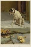 Puppies Sleeping-William Henry Hamilton Trood-Giclee Print