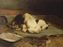 Puppies Sleeping-William Henry Hamilton Trood-Stretched Canvas