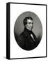 William Henry Harrison-null-Framed Stretched Canvas