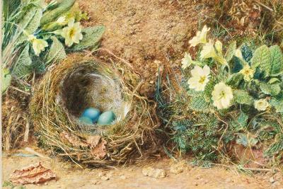 Bird's Nest with Three Blue Eggs and Primroses
