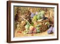 Brown Frame