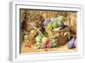 White Frame