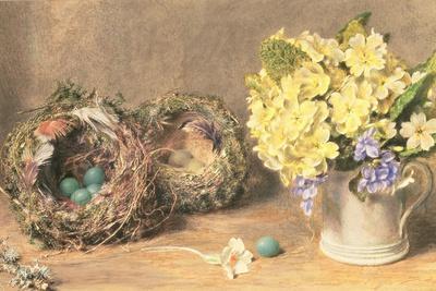 Spring Flowers and Birds' Nests, C.1830