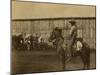 William Henry Jackson "In The Corral. The Lariat"-null-Mounted Art Print