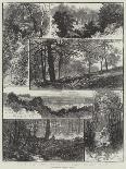 Sketches in Highgate Woods-William Henry James Boot-Giclee Print