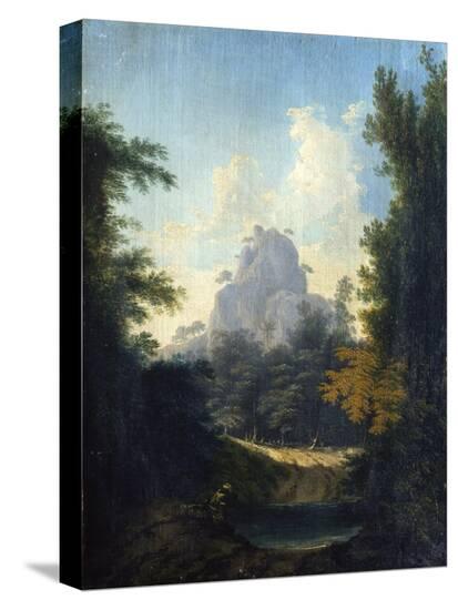 Stretched Canvas Print, , large