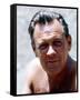 William Holden-null-Framed Stretched Canvas