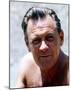 William Holden-null-Mounted Photo