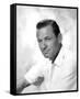 William Holden-null-Framed Stretched Canvas