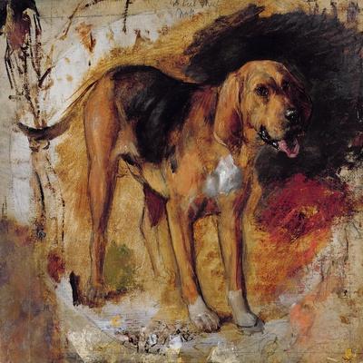 A Study of a Bloodhound, 1848