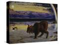 Stretched Canvas