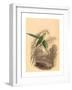 William Home Lizars after William Swainson (Scottish-null-Framed Giclee Print