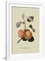 Gramercy White