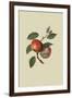Gramercy Espresso