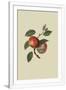 Gramercy White