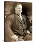 William Howard Taft, 42nd Secretary of War-Science Source-Stretched Canvas