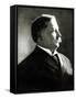 William Howard Taft-null-Framed Stretched Canvas