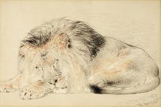 A Pair of Leopards, 1845-William Huggins-Giclee Print
