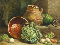 Still Life of Cabbages, Carrot and Turnips-William Hughes-Framed Stretched Canvas