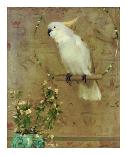 White Bird-William Hunter-Laminated Art Print