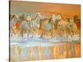 Stretched Canvas