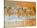Stretched Canvas