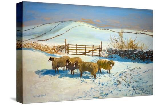 Stretched Canvas Print, , large