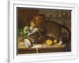 Gramercy White
