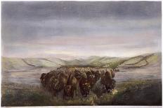 Buffalo Herd, 1862-William Jacob Hays-Framed Giclee Print