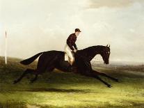 Steeplechasing: the Hurdle, 1869-William Joseph Shayer-Stretched Canvas